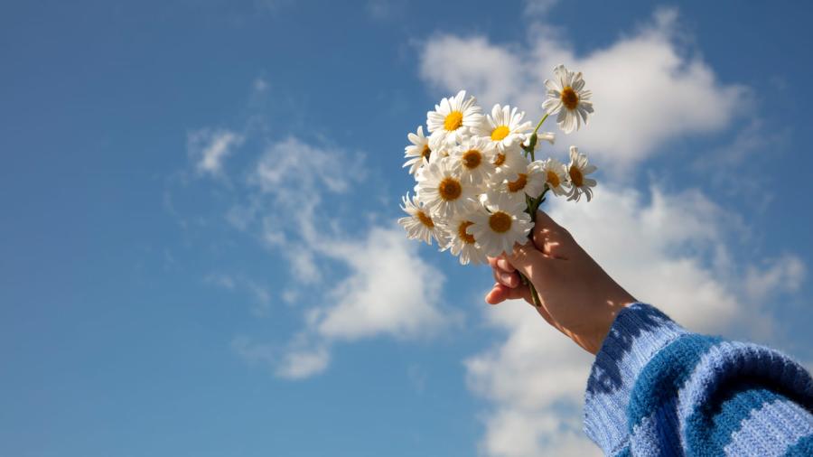 Diferencia entre funeral y servicio conmemorativo