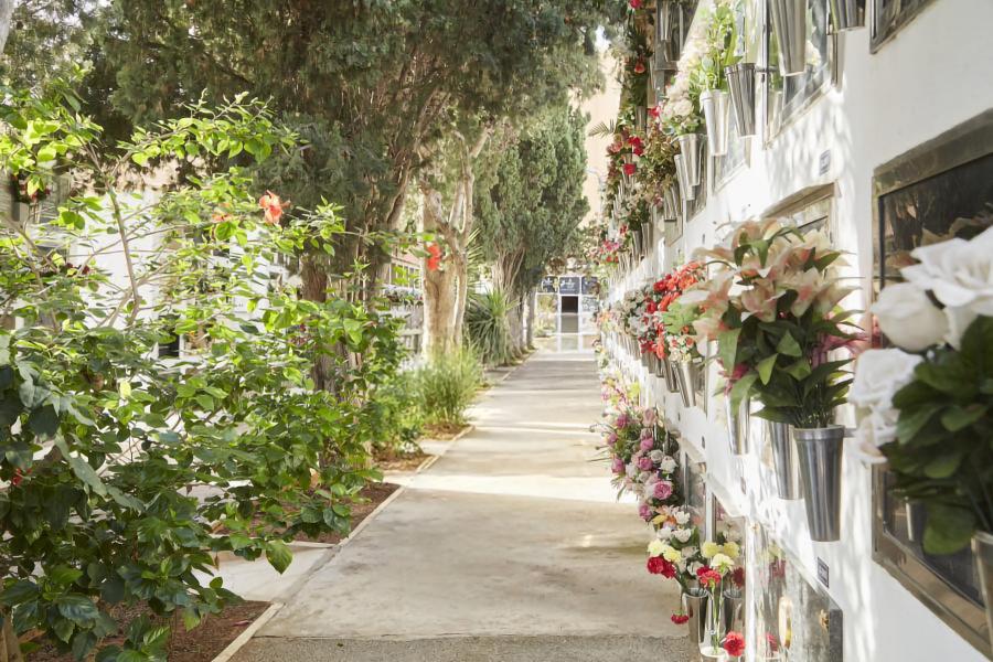 Cementerio en Ibiza
