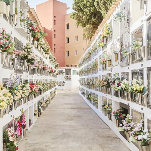 Cementerio en Ibiza